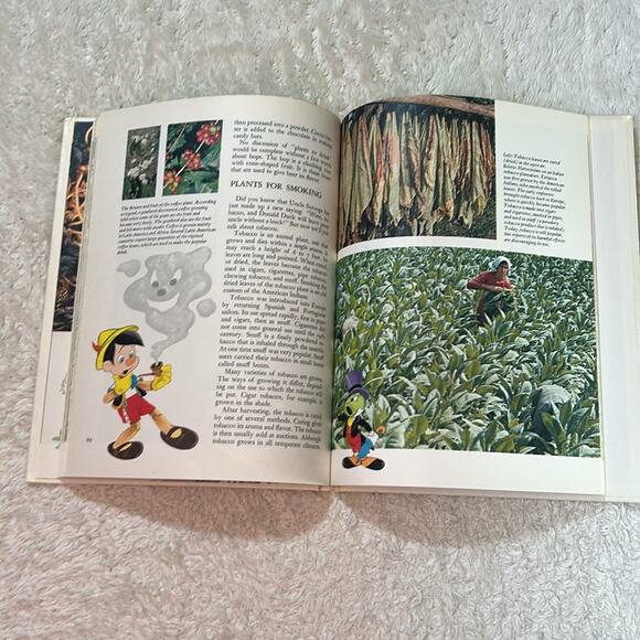 Disney's Wonderful World of Knowledge book 2, 1971 HC GOOD - Picture 7 of 11